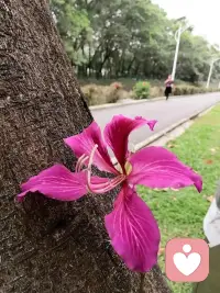 明天会变成什么？会变成一束鲜花，一颗流星，一个愿望；会变成一个誓言，一句祝福。明天会变成你余下生命的第一天。