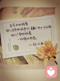 生命如此短暂，我们没有时间去争吵、道歉、伤心、斤斤计较。我们只有时间去爱，一切稍纵即逝。配图