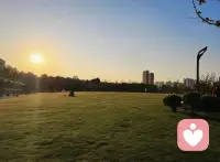 不是每个人都会理解你的旅程。没关系。你来这里是为了过自己的生活，而不是为了让每个人都理解。配图