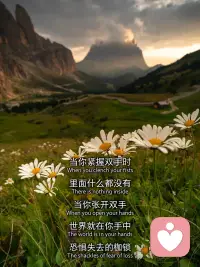 当你开始接纳自己的不完美，你就不再需要向世界证明什么了。配图