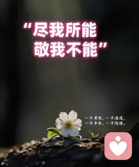 敬没有绝对正确的真理，敬有绝对自由的选择，敬不随波逐流的自我，敬情感信仰和骚动，敬一切禁忌。配图