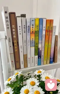 最终人生只有三件事是重要的：我们如何活过，我们如何爱过，我们如何放下。配图