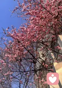 始于颜值，敬于才华，合于性格，久于善良，终于人品，归于灵魂。