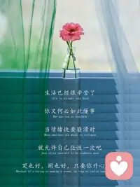 如果不知道怎么办的时候
就是好好照顾好当下的自己
先好好活着。才会有未来的可能。
