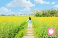 真正拖垮人的，从不是大事，而是无数细碎情绪的堆积。