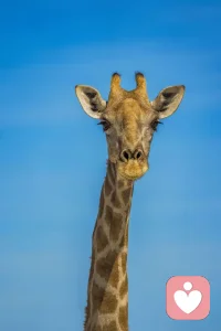 #醫(yī)生#在特殊房子里工作的普通人配圖