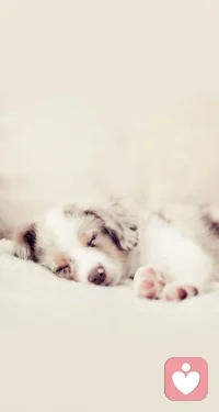 傾聽師，辛苦嗎？應該是會吧，要保持注意力，也許還有重復的時候，需要耐心…有些也是走在自愈的路上?，配圖