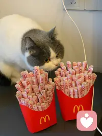 你越放松，结局反而越好