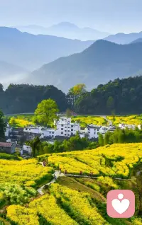 让我怎样感谢你
当我走向你的时候
我原想收获一缕春风
你却给我整个春天