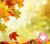 楓情如熾葉正紅
?此樹彼枝斗霜濃
?同向秋風各成景
?別過枝頭皆從容配圖