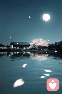 花迷月色人迷花
?云下江影入輕紗
風(fēng)穿?清廊無(wú)行跡
?撩動(dòng)相思到誰(shuí)家配圖