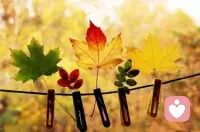 安暖紅塵，素面人間。慢慢學習掌握生活的節奏。張弛有道，舒緊結合。如喝茶，要學會品，不能一飲了之。學會慢，學會賞，學會玩。兩個字學會功夫，比如做飯的功夫，把過程變成享受。配圖