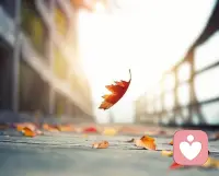 從容、優雅、翩然、瀟灑配圖