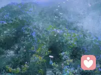 花开时节淡中艳
​林鸟翔空莫知倦
碧阶尽头君回首
​一入青山永不见配图