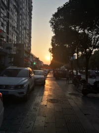 夕陽無限美好，把道路染成金色，走在光影的心情，有一種朝圣般的虔誠。溪流之水潺潺而響，流暢著我的觀感，讓人內心平靜得泛起波瀾。柳樹的柔柯己經成蔭，嫻靜地飄拂，仿佛要挽住一段時光，而我就存在在這般光景里，微做的陶醉。曉溪里的荷花，散發著傍晚的殘溫，等待著月華，醞釀著輕夢。一串紅安靜地在時光的一角，吐露著芳華，一叢叢，一簇簇，象是在輕盈的耳語，說著瞞不住的心事。己長成氣勢的蒿草，給人一種郊野的感觸，讓人聯想到詩經中《蒹葭》，所謂伊人，就是期待著的，一轉身的，再次擁抱我的你。配圖