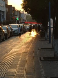 夕陽無限美好，把道路染成金色，走在光影的心情，有一種朝圣般的虔誠。溪流之水潺潺而響，流暢著我的觀感，讓人內心平靜得泛起波瀾。柳樹的柔柯己經成蔭，嫻靜地飄拂，仿佛要挽住一段時光，而我就存在在這般光景里，微做的陶醉。曉溪里的荷花，散發著傍晚的殘溫，等待著月華，醞釀著輕夢。一串紅安靜地在時光的一角，吐露著芳華，一叢叢，一簇簇，象是在輕盈的耳語，說著瞞不住的心事。己長成氣勢的蒿草，給人一種郊野的感觸，讓人聯想到詩經中《蒹葭》，所謂伊人，就是期待著的，一轉身的，再次擁抱我的你。配圖