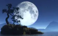 夜已沉默，燈也闌珊，你的身影印入青磚，心事向誰說，望月無言。不肯回頭，只是回首，所有的愛都錯過，自是無緣，何必自憐。別笑我懦弱，只是不想連累太多。我總是不能猜透，命運無常，為何人生淡薄，卻習以為常。風雨之后，塵埃落定，我無所謂擁有，得失，榮辱，取舍都不過一場空，唯有你值得珍惜。萍水相逢，是一場淡淡的機緣，卻相隨一生，重誓疊諾，你卻給我那么多，自己卻付出沉重。你擋住寒冬，如同命中的福咒，溫暖只保留給我，成為你的唯一。風霜寂寞凋落在你的懷中，你的心胸能包容一切。人生風景在游走，起起落落，迂迂回回，每當孤獨我回首，只有你能接納、理解、包容，你的愛總在不遠處等著我，從不曾舍我而去。歲月如流在穿梭，急急緩緩，簇簇擁擁，喜怒哀樂我深鎖，能獨自背負那么多，只因有你在天涯盡頭等著我，咫尺即天涯，天涯即咫尺，一生的相守，生死的相依，只因有你在天涯盡頭等著我，不離不棄，給我希望，給我力量。配圖