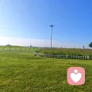 紫薇诺娜的头像