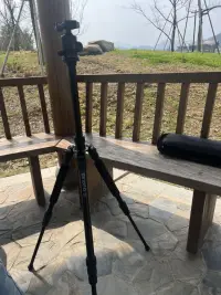 陽光明媚，心晴也變得好起來了，這個春天，忘掉憂愁煩惱，出門踏青吧。配圖
