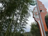 清除心理垃圾，放空心靈， 觀自在。配圖