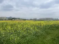 心隨意動，氣轉(zhuǎn)乾坤，浩瀚宇宙，唯我獨(dú)尊配圖
