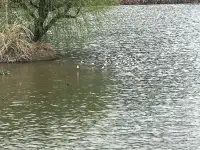 心隨意動，氣轉(zhuǎn)乾坤，浩瀚宇宙，唯我獨(dú)尊配圖