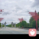 羨慕向日葵的頭像