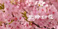 心灵是如此辽阔而美好，我会一直用我的爱心与专业帮助你在探索中成长，让生命如花开放。愿我们有缘相聚在给力心理平台，打开心窗，拥有美丽心情。配图