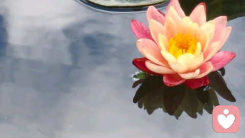 当一个人真正的爱自己的时候