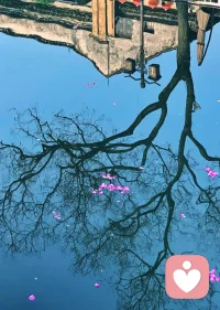 人难免会有委屈难过的时候，允许自己短暂做一回祥林嫂，倾诉苦楚、释放积压的情绪，本就是正常的自愈过程。

但千万别一辈子困在过往的伤痛里，不停反复抱怨、细数伤痛。无休止的牢骚属于低频负能量，长久存放在心底，最先消耗的是自己的心情，困住自身的生活；不断向旁人倾诉负能量，也会慢慢让身边的人想要远离。

难过可以诉说，伤痛可以释怀，倾诉只是用来放下，而不是反复重温苦难。及时收回负面情绪，放下过往纠葛，才能接住生活里温暖正向的能量。