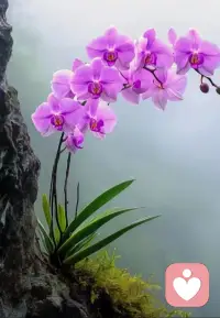 人活着是因为内心有希望，那就是快乐活着的动力。也许你会因为一些事情让自己看不到了希望，但不要灰心我们可以不断给自己创造希望。