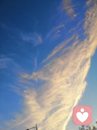 以舍為有，則不貪；以忙為樂，則不苦；以勤為富，則不貧；以忍為力，則不懼。不要敗給自己，不要輸給生活，這個世界永遠比你想象的更精彩！配圖