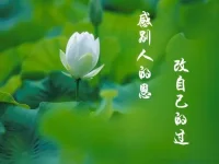 用謀愛的狀態去謀生，用享受生活的狀態去生活，如果你愿意此刻就可以幸福起來配圖
