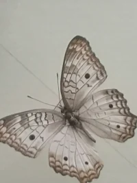 稻??生先??說：“一個人變??秀優(yōu)??前有三個征兆”?1、不抱怨?凡事從??身自??找原因?2、目標強???喚不心??物，物不至?3、利他心?利他是最好的利己配圖