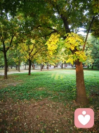 早安，變化，從發(fā)現(xiàn)自己的情緒開始。配圖