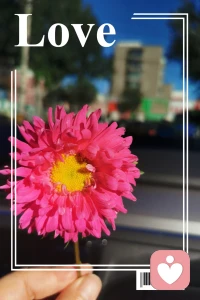 《三毛》折磨你的，從來不是任何人的情緒，而是你心存幻想的期待，世間萬物都在治愈你，唯獨你自己不肯放過自己！配圖