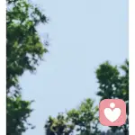 灵魂摆渡的头像