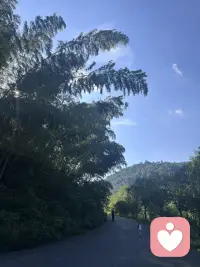 DAY 9 | 重温共情的力量：它对青春期孩子的深远影响

虽然已经开始接来访者、投入工作了，但我依然坚持对前期的基础进行复习和回顾。

今天我又重新学习了共情的力量这一章节。里面提到，共情其实是一种内在的力量。它驱使我们去深入了解人的内心，而不是仅仅停留在表面；它让我们能敏锐地觉察到他人的想法和感受，从而真正走入他人的内心。

课程中有一个关于青春期叛逆的案例让我印象很深。特别是在青春期的时候，当父母能够以共情的姿态去回应孩子的时候，对于孩子来说，不仅能最大程度地避免他们走向抑郁等心理疾病，而且这个孩子的情绪调节能力也会得到显著的提高，具体的数值能提高到了53%左右。

这意味着，能够共情和被倾听、被好好倾听的孩子，他们会更擅长管理自己的情绪。特别是在遇到挫折的时候，他们能够更快地调整过来，不会被这种情绪左右太久。

同时，这种共情还能减少青春期的亲子之间沟通的矛盾，减少的比例达到了35%。而且我们知道，青春期孩子的情绪波动是比较大的，很容易跟父母产生矛盾。那如果父母能够站在青春期孩子的角度去考虑，去理解他们的情绪，孩子会觉得自己被理解了，也会觉得自己被尊重了。不是一味地去批评、去辱骂，而是让孩子觉得自己被尊重，同时也能够被理解和被接纳。这样，他才能够有空间去探索情绪，情绪才有更多的力量去调节自身。

那这样的冲突呢，自然会减少。孩子也可以投入更多的精力去投入到学习中，而不会被他的日常情绪，或者激素产生的一些生理机制上的影响，而去干扰他的学习状态。

在日后走上工作岗位时，他也会具备更多情绪调节的经验和能力，为日后的事业发展奠定一个情绪上的软实力基础。