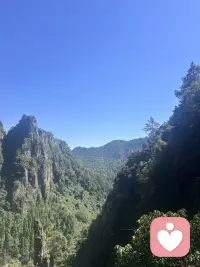 今日在深山，闲散野人