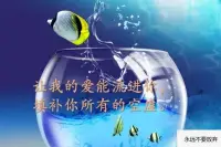 我完全了解你。
我知道你的每一件事，
我用完美的、不變的愛愛你。
許多人尋找真正能理解和接受他的人。
只有我能滿足這內心深處的渴求。
你會在與我的關系中，發現真正的自己。
我鼓勵你用真實的你面對我，
放下偽裝、打開心扉面對我。

讓我的愛能流進你向我打開的心。
花時間讓這有大能的愛浸入你的靈魂深處，
填補你所有的空虛，在歡喜敬拜中流淌。
大大的歡喜，因為你完全被了解，永遠被愛。配圖