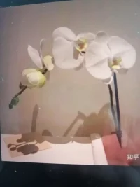 心有时候跟屋子一样，需要定期打扫一下，不好的该洗洗，该丢丢，然后再把喜欢的生活装进去，就是理想中的样子了