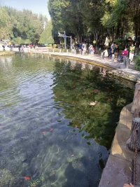 静能生慧？在一个安静的情况下，问问自己的心，哪里需要滋补？问问自己的心，哪里受伤了？是什么原因受伤的？哪些情绪未被满足和处理？这些情绪是如何造成的？当你看见了，发现了就已经疗愈了一半配图