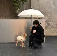 “什么是成熟？”

“喜歡的東西依舊喜歡，但可以不擁有；害怕的東西依舊害怕，但可以面對(duì)。”