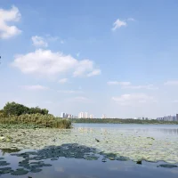 一个谈恋爱容易焦虑的人，理想的恋人应该是一个安全型的人。毕竟只有安全型的人，才有打招架和安抚那些随时扑面而来的情绪，才有能力为焦虑的人提供安全感。然而实际情况下，焦虑型的人会遇到一个回避型的人？配图
