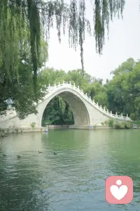 在我們的想象中，好像成長就意味著自己需要變得無堅不摧，不能有一點回撤，不能有一點松懈，不能有一絲脆弱，否則就是失敗，就等于回到原點。這其實是對成長的最大誤解。配圖