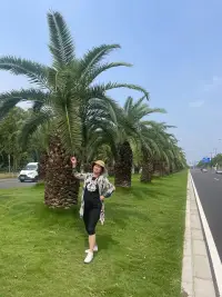 你對自己最大的貢獻就是讓自己內心強大起來，強大不是因為你戰勝了自己，而是接納了自己。配圖