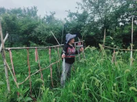 如果一個人小時候生長環(huán)境充滿不確定的因素，缺少正面回應(yīng)，那么，從外界吸取正面的反饋，補給自己，心里營養(yǎng)，便成了ta與人交往中的第一個心里目標(biāo)。
這樣，就變成了“高敏感人群”。
他們比一般人更在意別人的反饋，獲得別人的正面評價，是比“自我實現(xiàn)”更迫切的需求。配圖
