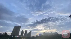 证书