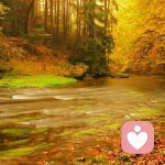 蔚藍(lán)的頭像