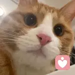 蝶蛛世界第一的头像